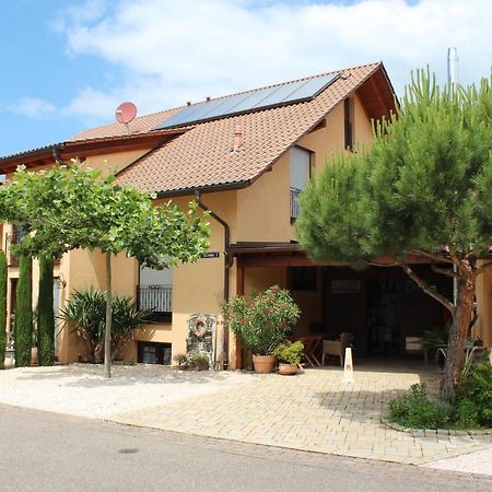 Pension Vanii, Apartments Руст Екстериор снимка